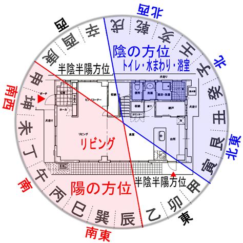 陽木 陰木 風水|植えれば家が発展 風水的におめでたい「陽木」の代表は松竹。